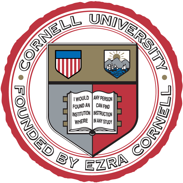 Cornell Big Red 1865-Pres Alternate Logo iron on transfers for clothing